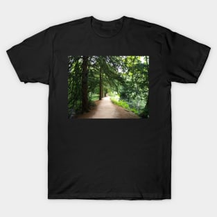 Baddesley Clinton woodland walk A T-Shirt